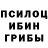 Псилоцибиновые грибы Magic Shrooms Ira Jev
