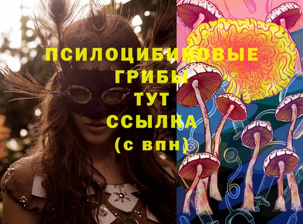 мдма Дмитриев