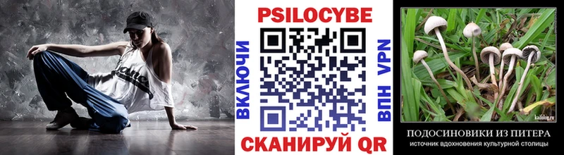 Псилоцибиновые грибы GOLDEN TEACHER  Купить закладки  Кимовск 